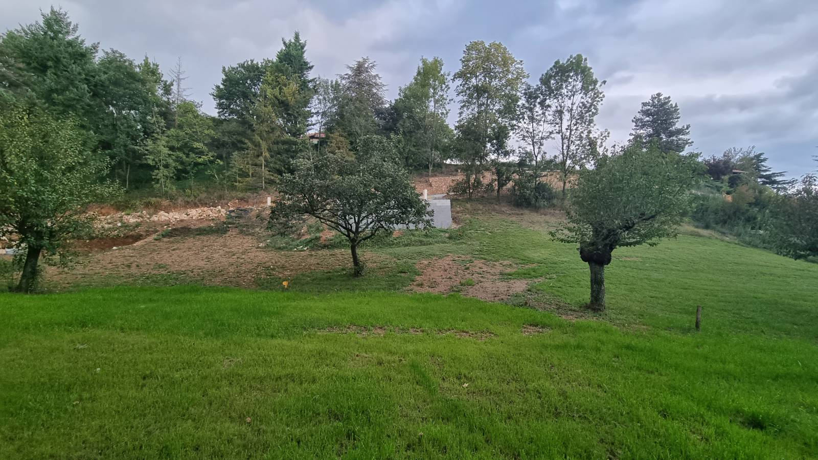 Terrains à Morancé