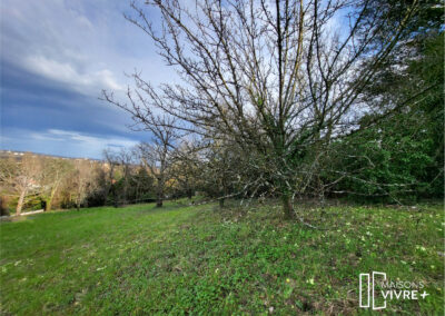 NOUVEAU TERRAIN A SAINT CYR AU MONT D'OR (69450) DE 1230 M²